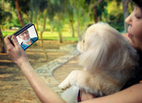 online vet service